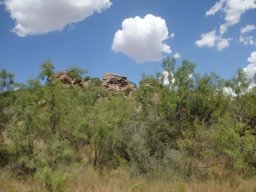 2010 Route 66